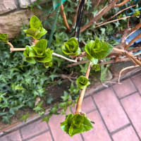 火曜日はお休みです。