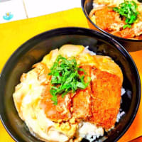 梅味噌、食べ比べとがんすカツ丼