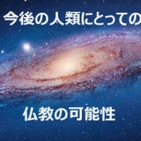 動物倫理及び環境倫理の背景思想としての仏教の可能性ー２