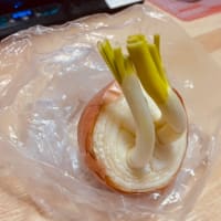今晩は