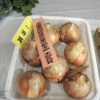 JA東京千歳地区夏期農産物品評会