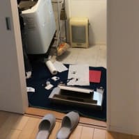 今日は洗濯機の修理
