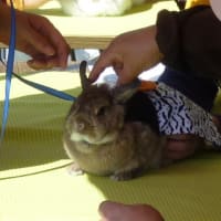 まとめあげ　（汗