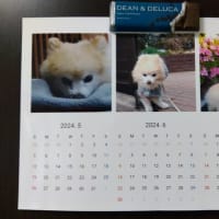 カレンダー、コンビニで印刷しました。