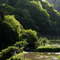 8月４日　　　御言葉をあなたへ