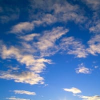 名古屋港が米国への麻薬中継地？