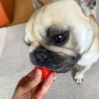 白いのは違うらしい。。。