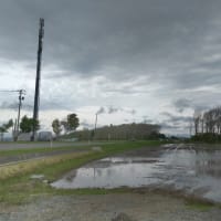 南幌町の菜種畑などへ