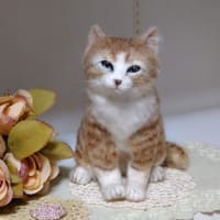 羊毛っこ　猫さん♪生まれました(*^^*)