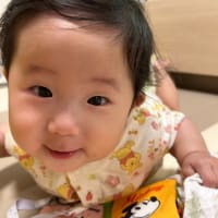 コン爺　グーブログ500日❣️