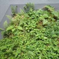 断水のお知らせ