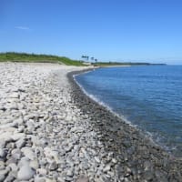 鳴り石の浜