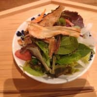 サークルの食事会