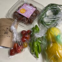 新しい発見