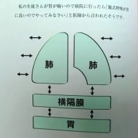 次の段階 ♪