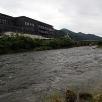 3度目の巴川！