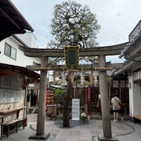 名前のない女子会_6月は泊まりで京都（観光）。