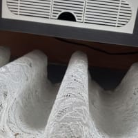 暴露、告発！((((；ﾟДﾟ)))))))