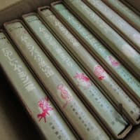 書評  　　　『ムーミンパパ海へ行く』 トーベ=ヤンソン　作・絵　　小野寺百合子　訳  『トーベ=ヤンソン全集６』（講談社）