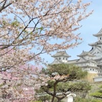 旅行