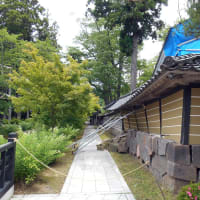 能登に行ってきました