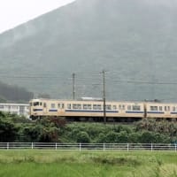 小雨の中を走る瑞風