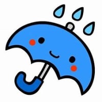 雨