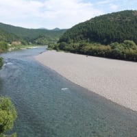 本日の海部川