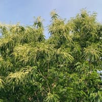 体験すること