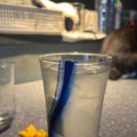 看板猫がいるお店で猫飲み スナック子猫さん 予告編 (2506)