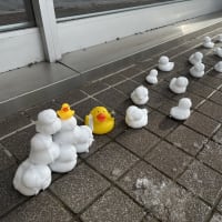 2025年2月のおしらせ
