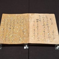 はてなブログ＞ご訪問頂けると深甚です☆>GooBlog、続けます☆