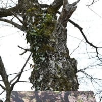 野外写真展　ありがとうございました!!