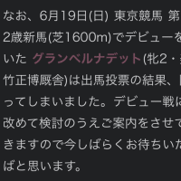 6/19 新馬戦出走予定馬