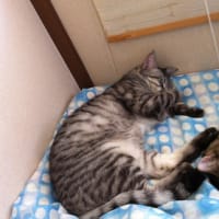 いってらっしゃい、長男