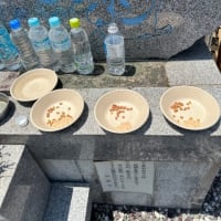 日高寺