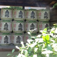 白山神社の「文京じさいまつり」、6月8日（土）～16日（日）！一足先に行ってきました。