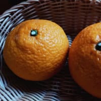 外は寒くても
