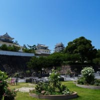 日本国民全員が必視聴！！1090回　南海トラフ地震注意情報で新幹線徐行は意味なし！これを機に増税を目論む財務省とポチ日経