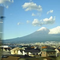 10月の成果