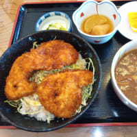 お食事処　ふじ　７(佐野市多田町)