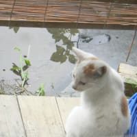 久しぶりです久しぶりです