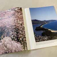 雑誌掲載