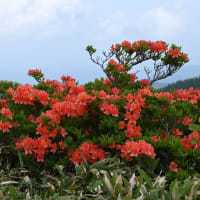 美ヶ原高原ﾚﾝｹﾞﾂﾂｼﾞ