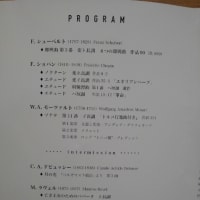 久しぶりのコンサート
