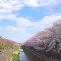 花見