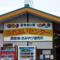 秋が深まり。