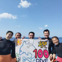 前編、祝100DIVE！石垣島でウミガメと一緒に泳ぐ！最後はサプライズ！