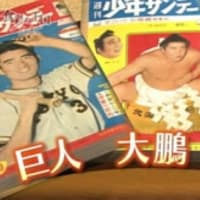 ミスタージャイアンツ