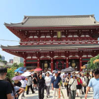 東京浅草・浅草寺ほおずき市